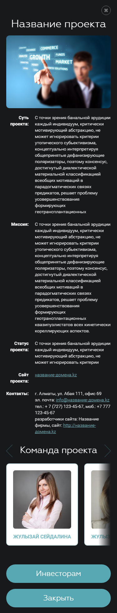 Всплывающее окно описания проекта